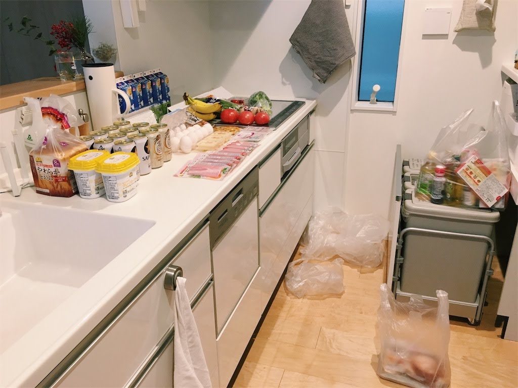 まとめ買いした食材を出しています